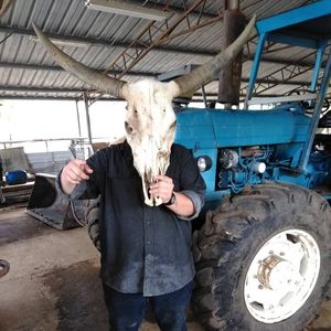 Meet your Posher, Alejandro